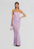 Quintessa Mesh Dress