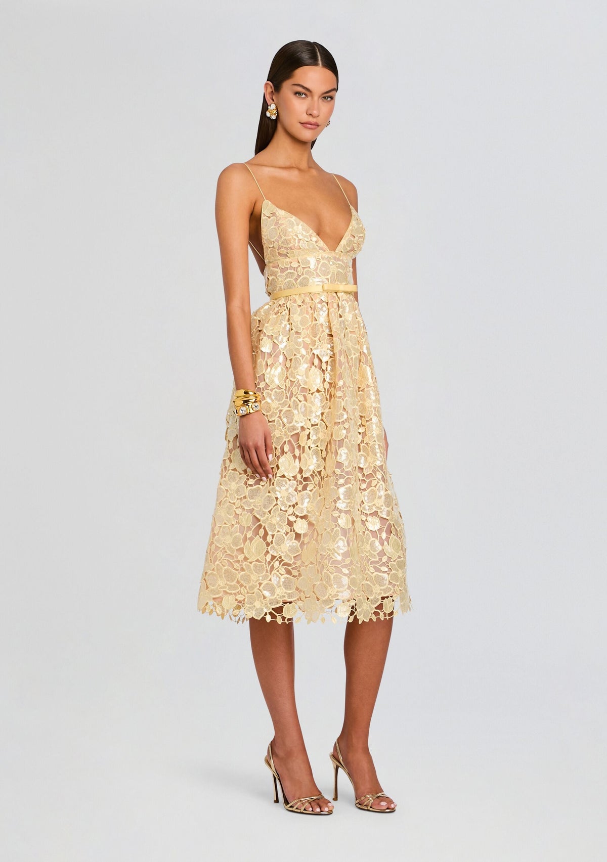 Eulalia Sequin Lace Dress