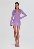 Emeri Metallic Knit Mini Dress