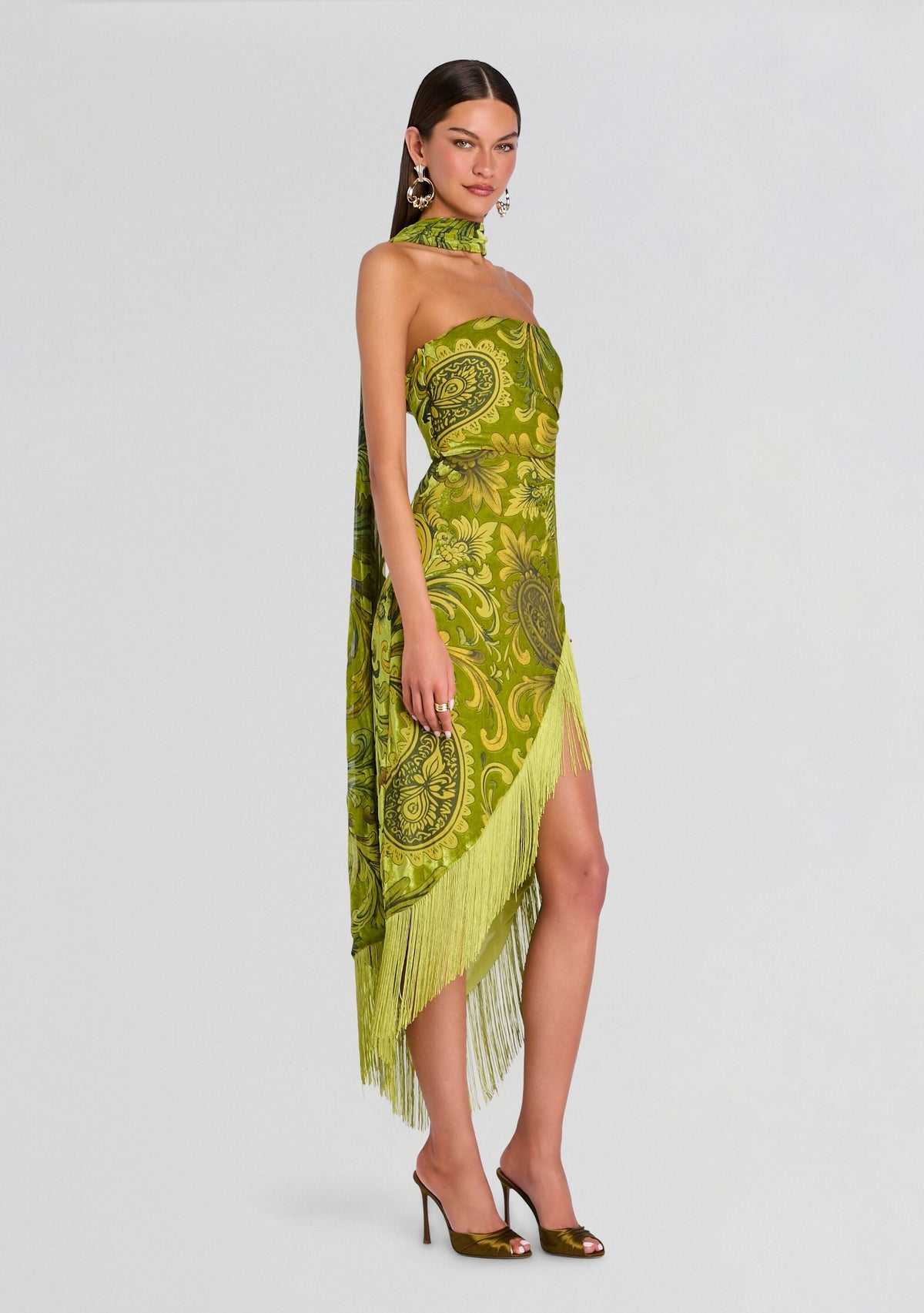 Statice Velvet Dress