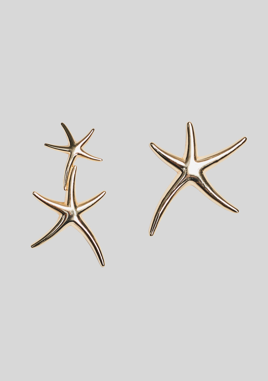 Marine Earrings